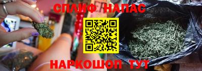 хмурый Апшеронск