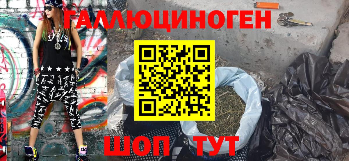 Псилоцибиновые грибы Psilocybine cubensis Баксан