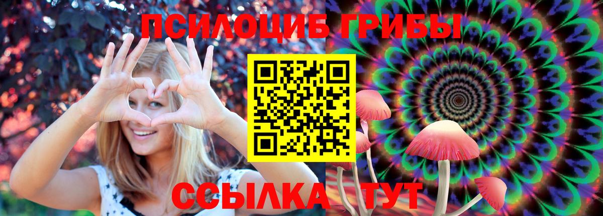 Баксан  Галлюциногенные грибы мухоморы  Вход с VPN  Галлюциногенные грибы Psilocybe 